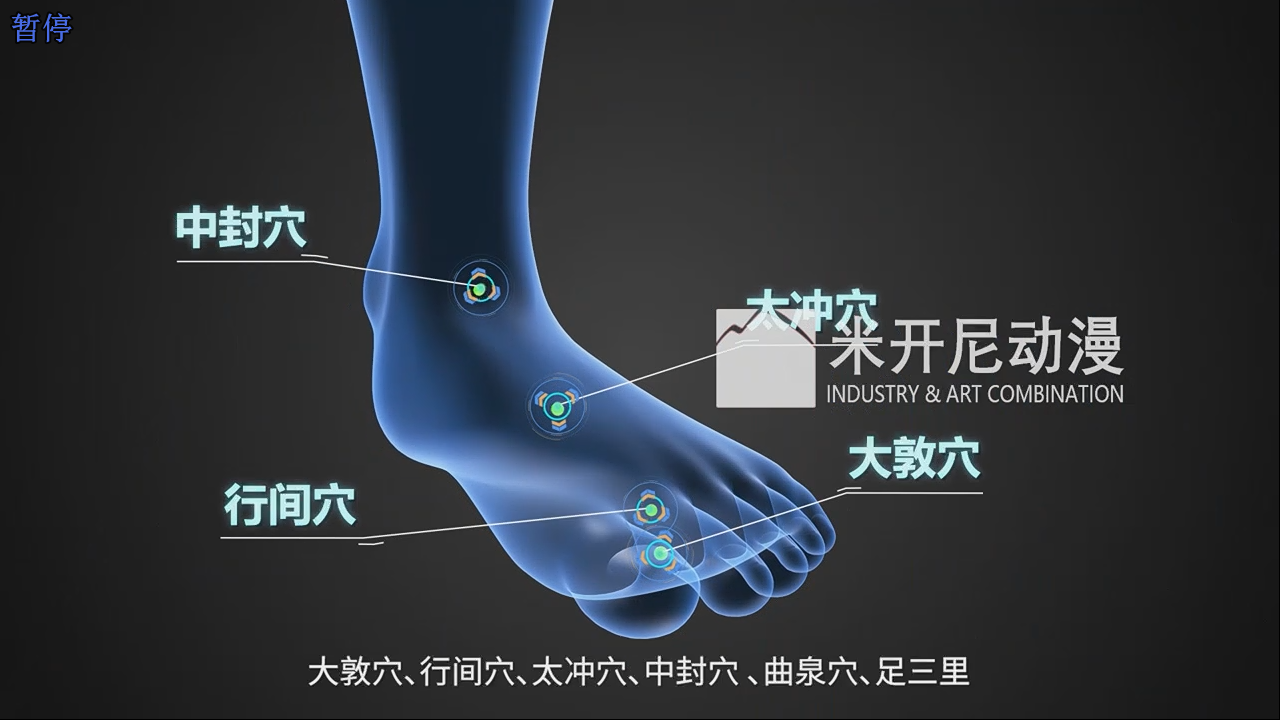浙江耀百岁健康产业有限公司膏药三维动画